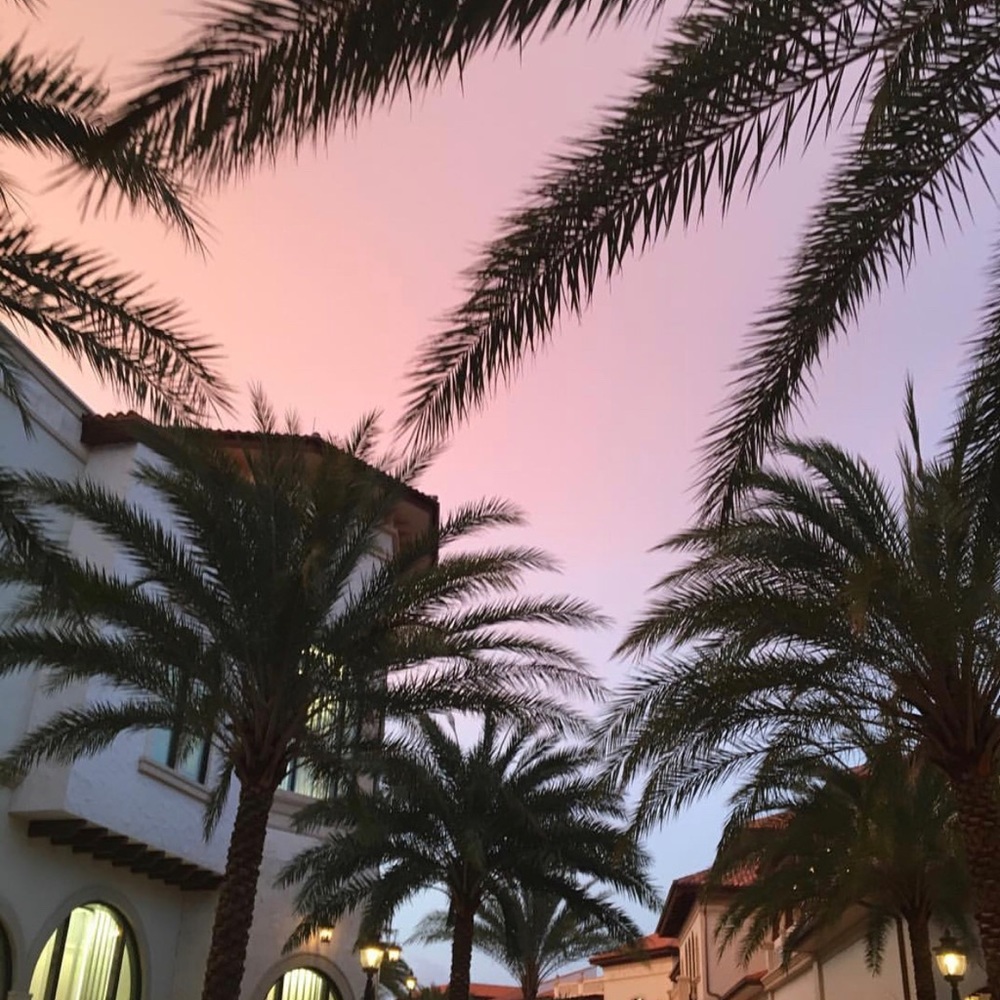 Meet your Posher, Ali